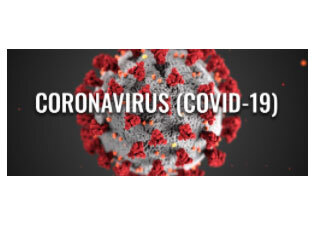 Corona Virus Cell